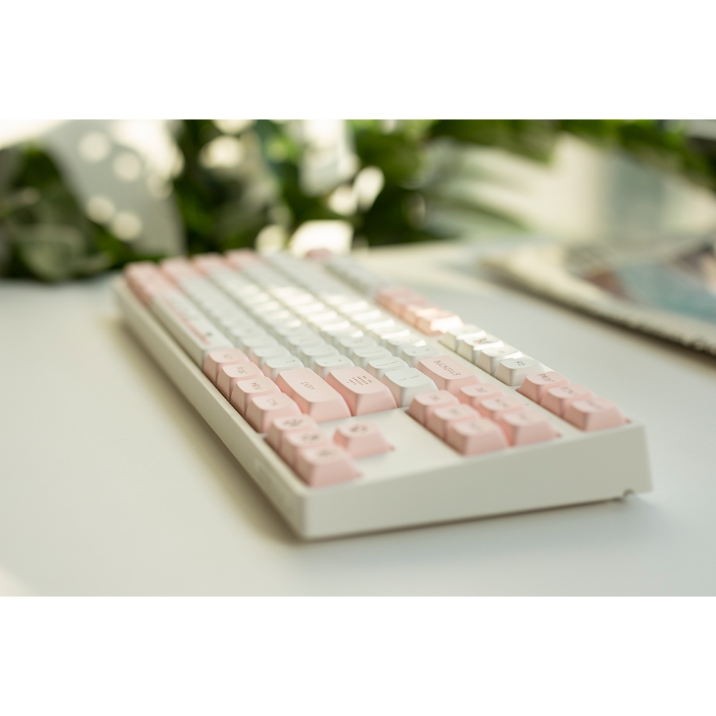 136 nút bàn phím cơ Cheese Cat mèo chi, nhựa PBT dày 1,5mm in Dyesub, Keycap Profile XDA | HYPERKEEB