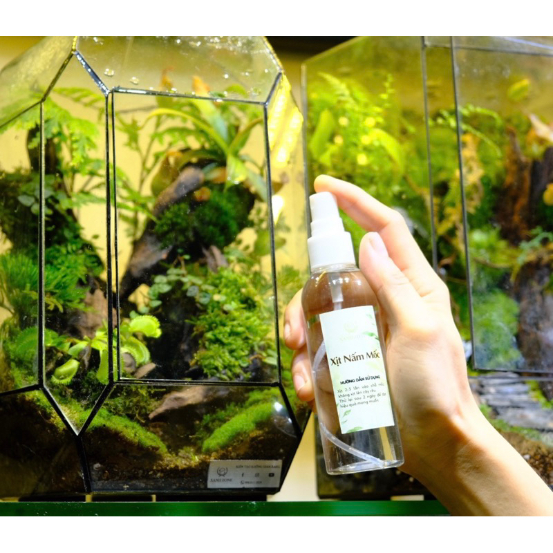 Xịt chống mốc cho bể terrarium, cung cấp thêm vi sinh cho rêu, bể terrrium.