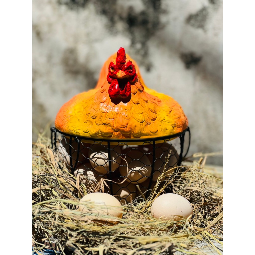 Giỏ đựng trúng gà derco