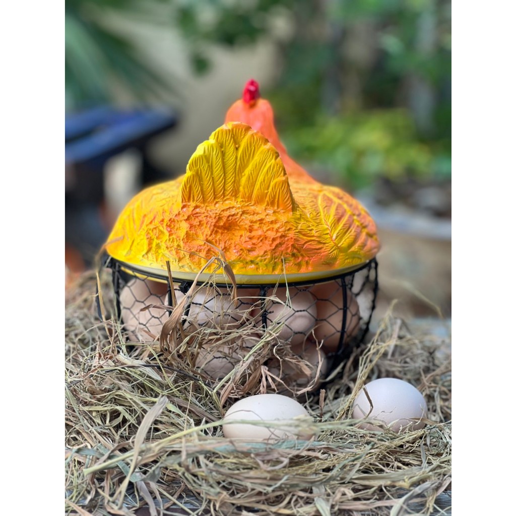 Giỏ đựng trúng gà derco