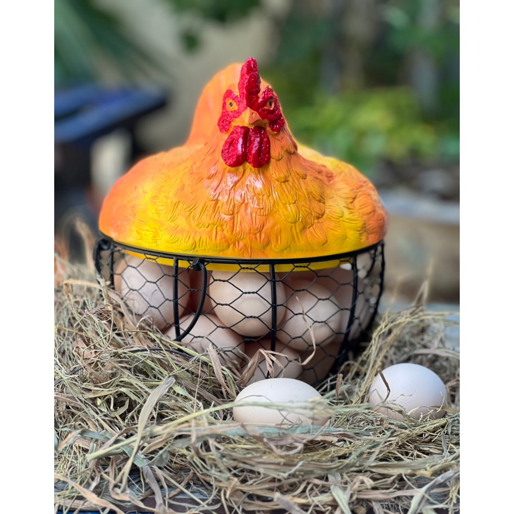 Giỏ đựng trúng gà derco