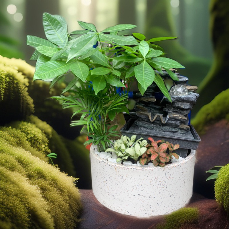 chậu xi măng đá mài trắng 30cm trồng sen súng hay làm thác nước nuôi cá