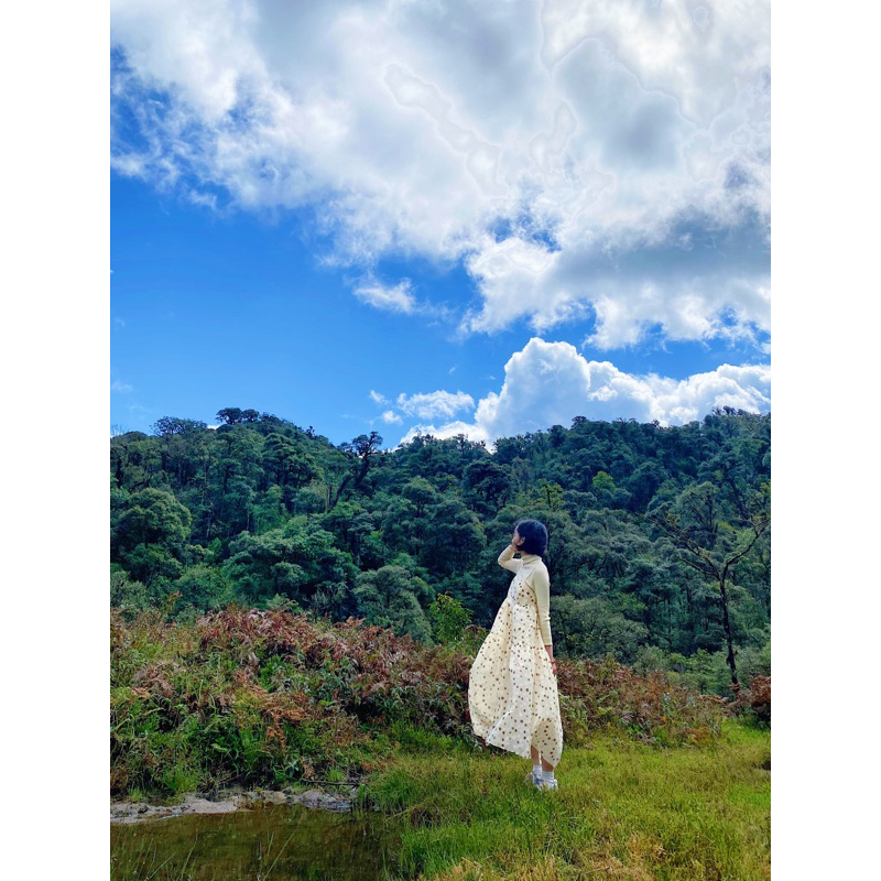 Váy hai dây nakedbyv