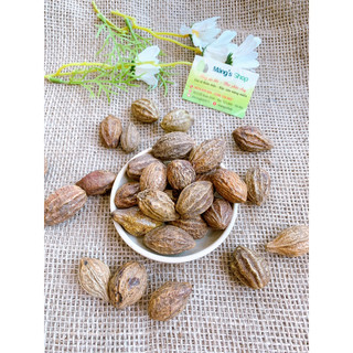 Quả Kha Tử Khô (Gói 100g)