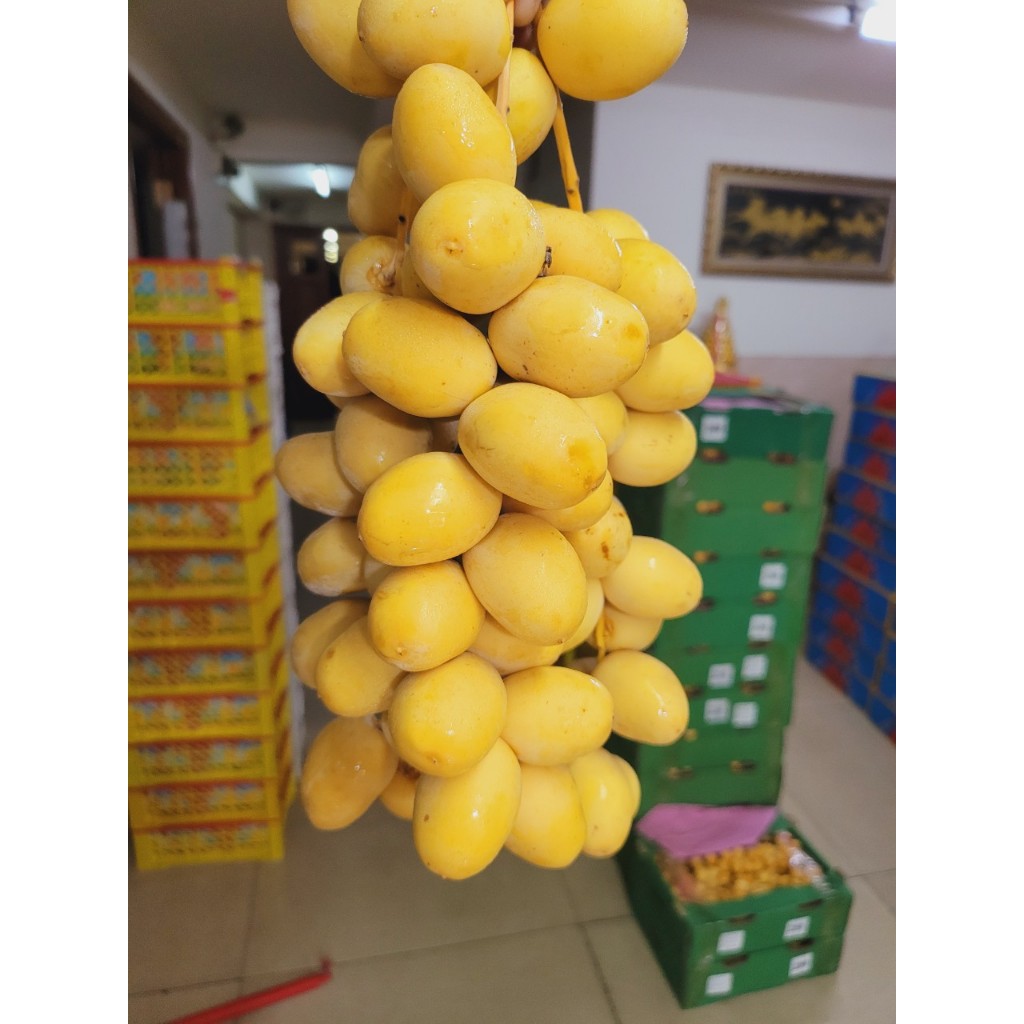 1kg Chà Là tươi giòn ngọt