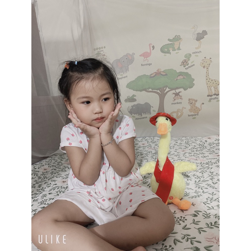 Vịt con nhảy múa nhại giọng hot trend