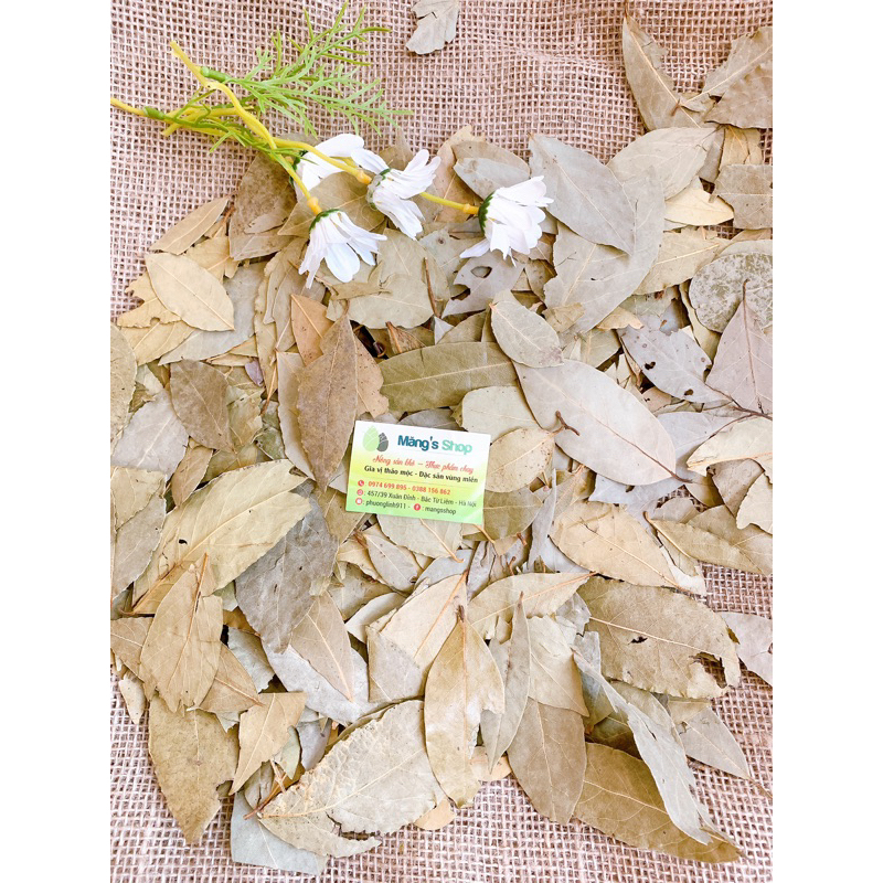 Lá nguyệt quế khô gói 50g100g