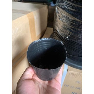 Set 50 bầu ươm cây 8x8 có thể tái sử dụng