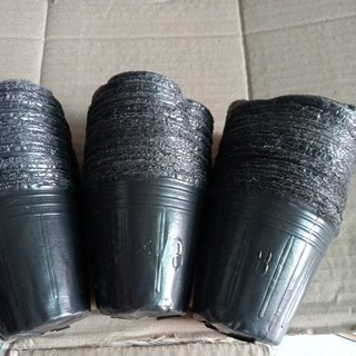 Set 50 bầu ươm cây 8x8 có thể tái sử dụng