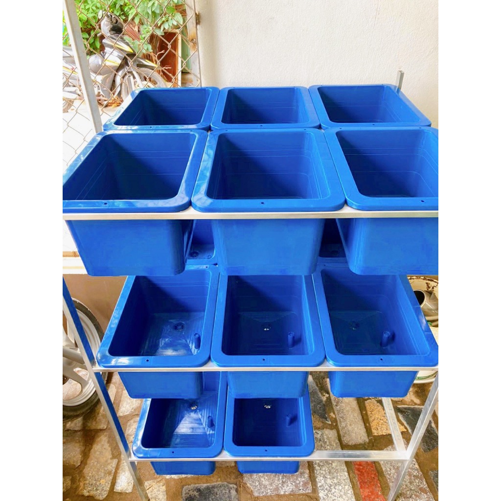 Hộp nuôi cua lột/ghẹ/tôm tít Vịnh Xanh (bộ 10 hộp)