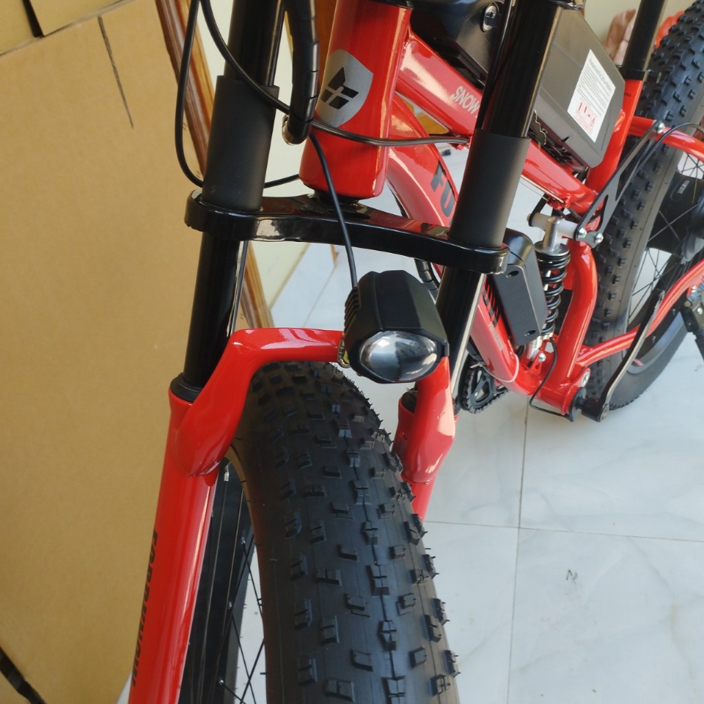 Xe đạp bánh béo trợ lực điện FK