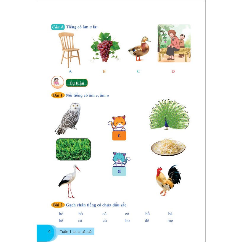 Sách - Bài Tập Tuần Tiếng Việt Lớp 1 - Biên Soạn Theo Chương Trình GDPT Mới - Cánh Diều - ndbooks