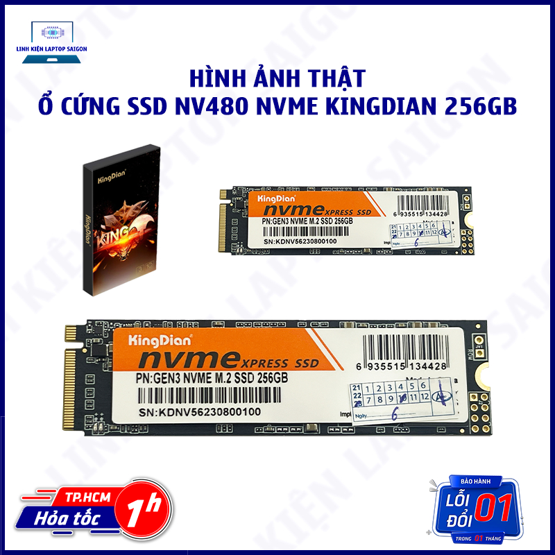 SSD 128GB 256GB 512G Ổ cứng NVME NV480 256GB 128GB 512GB SSD NV480 NVME Kingdian 512GB 256GB 128GB