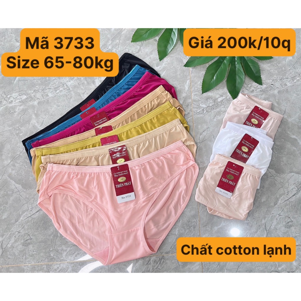 ♥️ Shop Uy Tín ♥️COMBO 10 Quần Lót Cotton Lạnh Lưng cao Big Size To 65-80kg