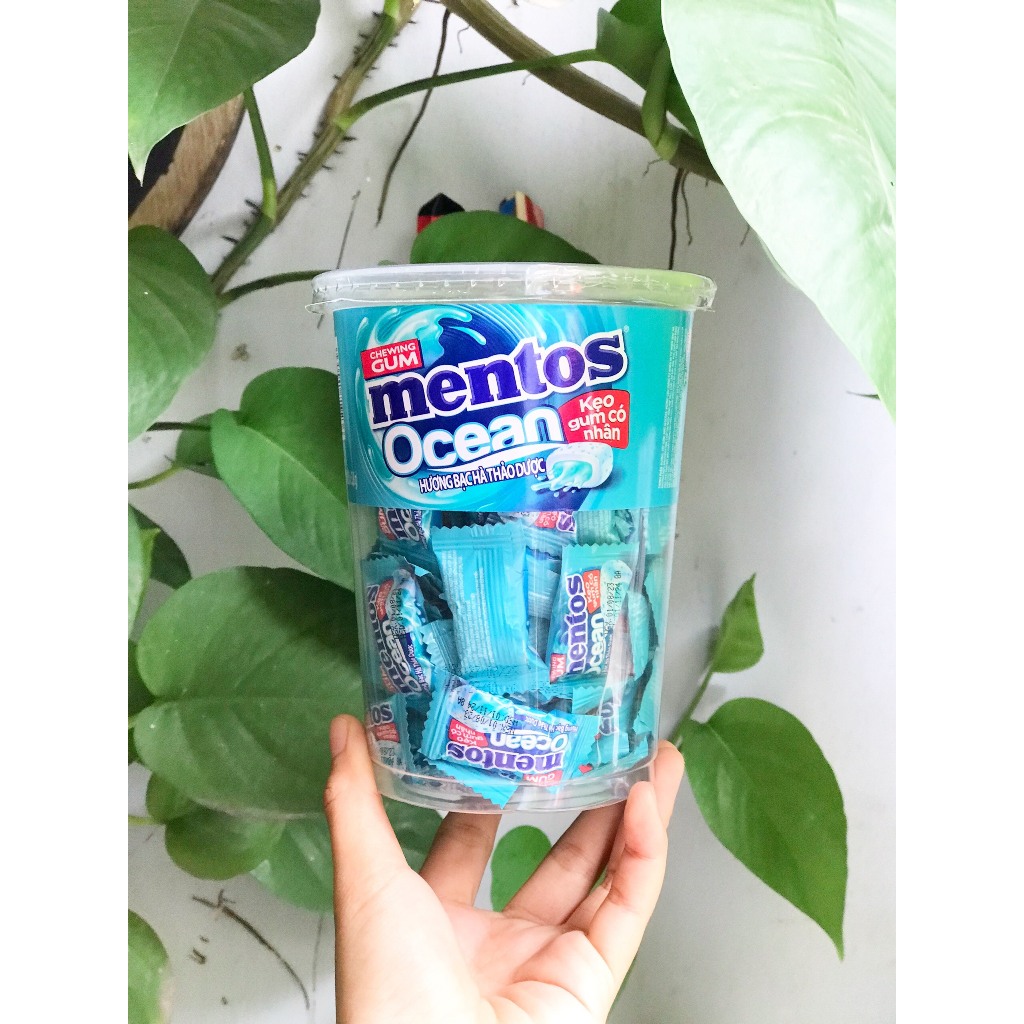 Kẹo Gum Mentos Ocean Có Nhân Hương Bạc Hà Thảo Mộc