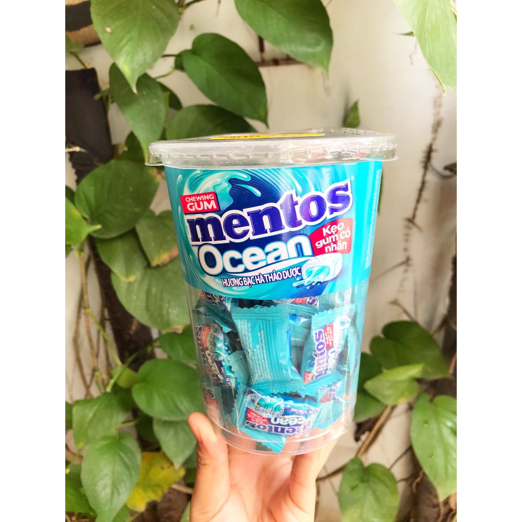 Kẹo Gum Mentos Ocean Có Nhân Hương Bạc Hà Thảo Mộc