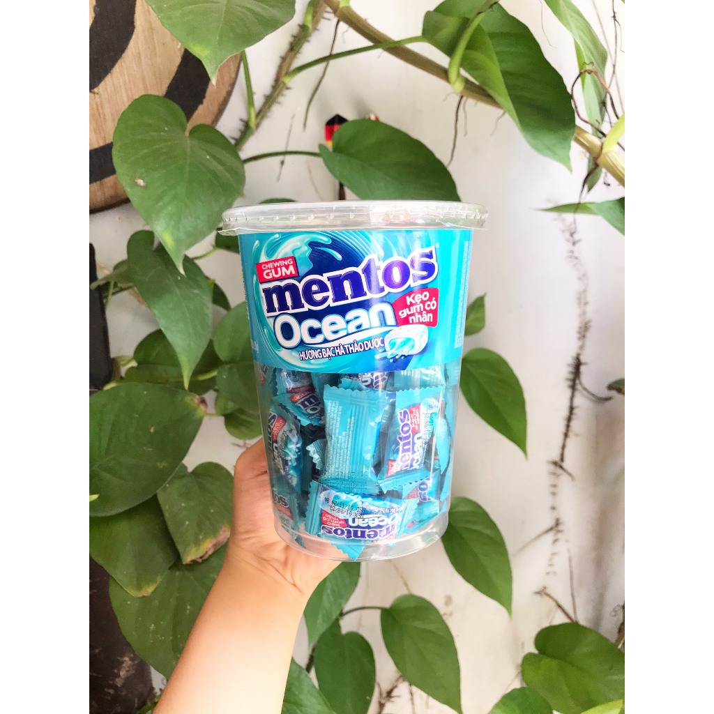 Kẹo Gum Mentos Ocean Có Nhân Hương Bạc Hà Thảo Mộc