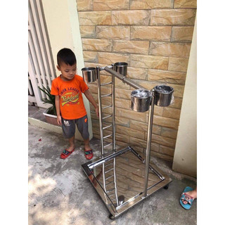 Cầu đứng cho vẹt nhập khẩu