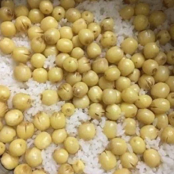 Hạt Sen Khô 100g loại ngon - Hạt Sen Khô Huế Loại 1 Cao Cấp