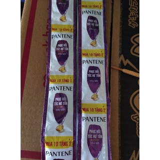 Dầu gội xả pantene