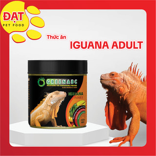 Thức ăn iguana trưởng thành - rồng nam mỹ trưởng thành từ 1m trở lên