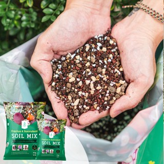 [1kg] Đất trồng sen đá - Bao chiết từ bao Soil Mix 6kg - Nhanh ra rễ, cây lên màu siêu đẹp