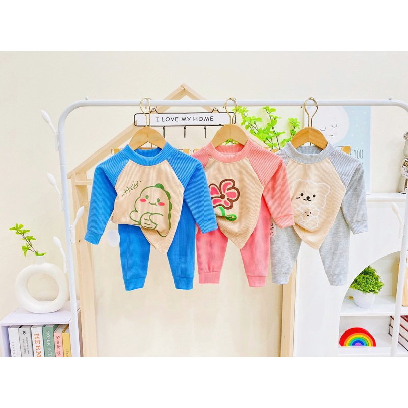 Bộ dài tay Minky Tăm gân Hoạ Tiết Phối Tay Cho Bé trai bé gái