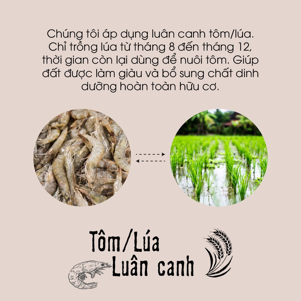 Gạo lứt đen dẻo điện biên organic ONFOD dành cho người giảm cân, thực dưỡng, ăn kiêng, tiểu đường, béo phì 500g 1kg