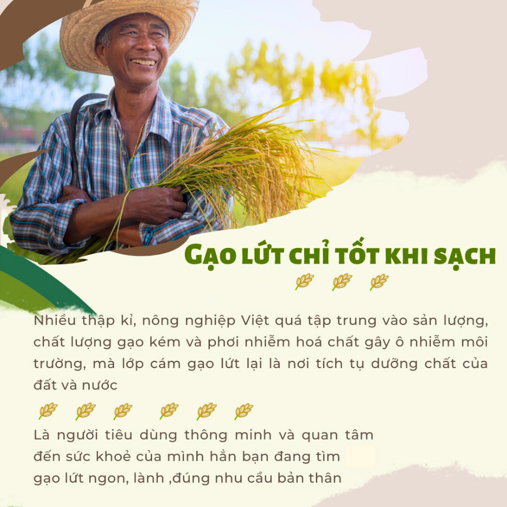 Gạo lứt dẻo đỏ hữu cơ ONFOD gạo lức hỗ trợ giảm cân ăn kiêng cho người tiểu đường, gym, yoga, bà bầu thực dưỡng 1kg