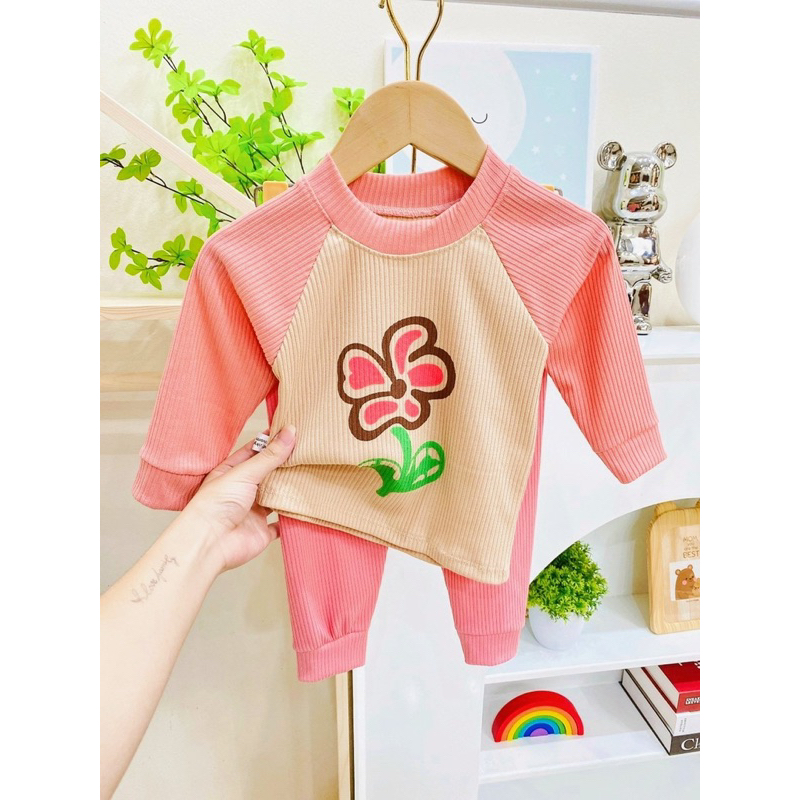 Bộ dài tay Minky Tăm gân Hoạ Tiết Phối Tay Cho Bé trai bé gái