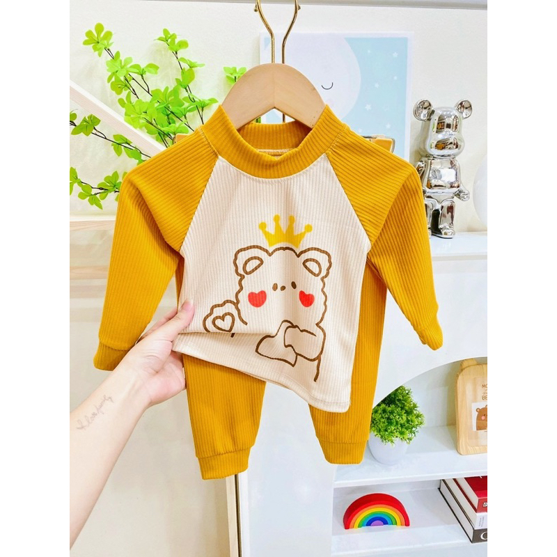 Bộ dài tay Minky Tăm gân Hoạ Tiết Phối Tay Cho Bé trai bé gái