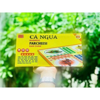 Cờ cá ngựa nam châm