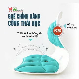 Ghế Công Thái Học Ghế Tựa Chỉnh Dáng Điều Chỉnh Tư Thế Chống Cong Vẹo Cột Sống Dùng Cho Mọi Lứa Tuổi Made in Korea