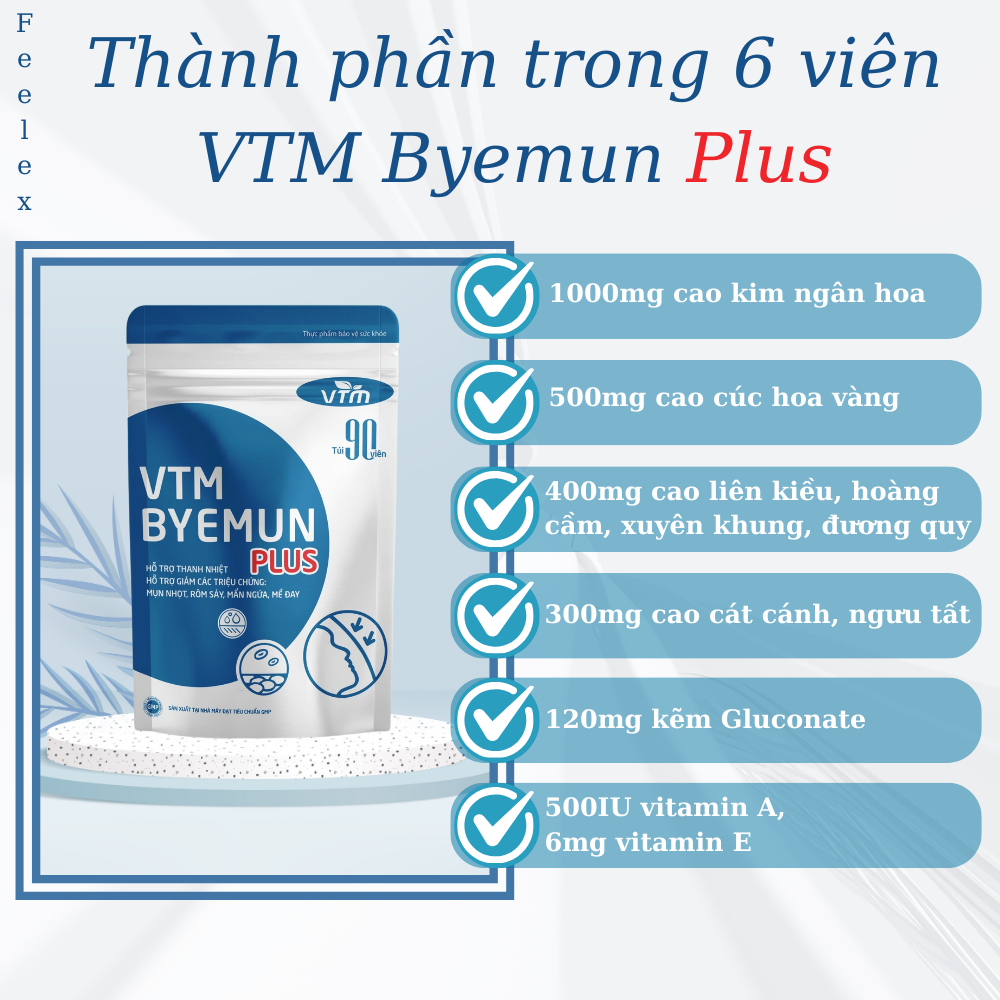 Viên uống VTM Byemun Plus hỗ trợ thanh nhiệt, giảm các triệu chứng mụn, mụn viêm, mụn ẩn, mẩn ngứa, mề day gói 90 viên