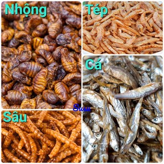 Nhộng, Tép, Cá, Sâu lớn sấy khô, Bánh cho Hamster, Nhím, Sóc, Rùa...