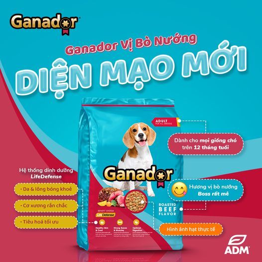 Hạt Ganador 400g - Thức ăn cho chó con và chó trưởng thành đủ vị