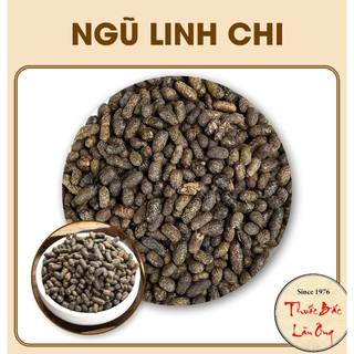 Ngũ linh chi khô sạch 1kg, thảo linh chi - Lãn Ông