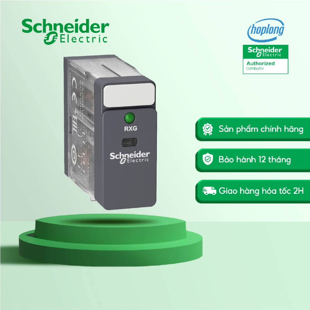Relay trung gian RXG23BD Schneider - 2 Poles (8 chân) - 24VDC