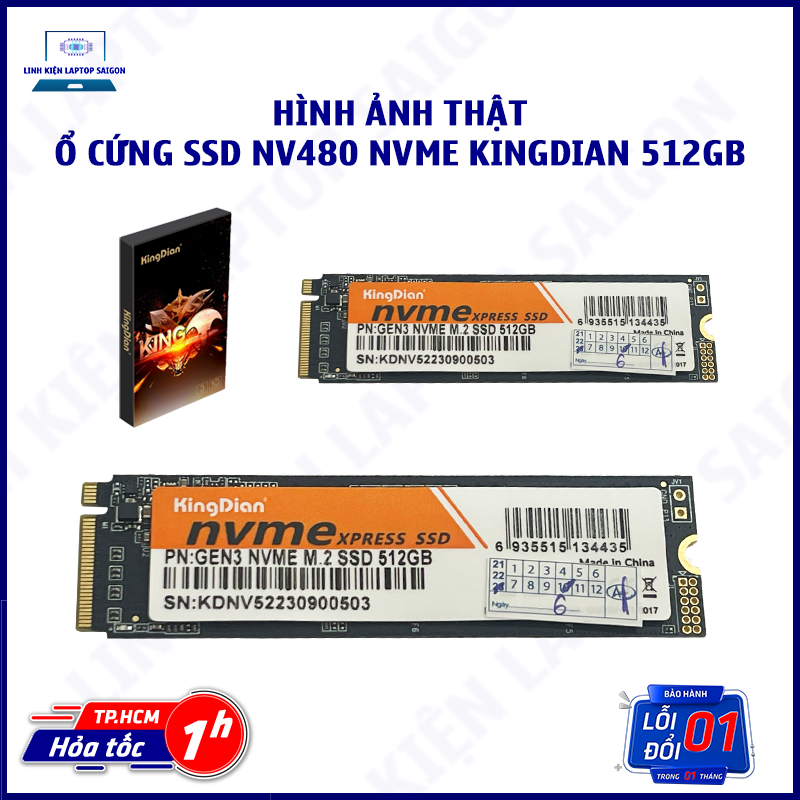 SSD 128GB 256GB 512G Ổ cứng NVME NV480 256GB 128GB 512GB SSD NV480 NVME Kingdian 512GB 256GB 128GB