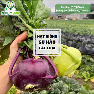 Hạt giống su hào tím, su hào xanh Rạng Đông - RADO 684 - 2g, gói nhỏ trồng thử