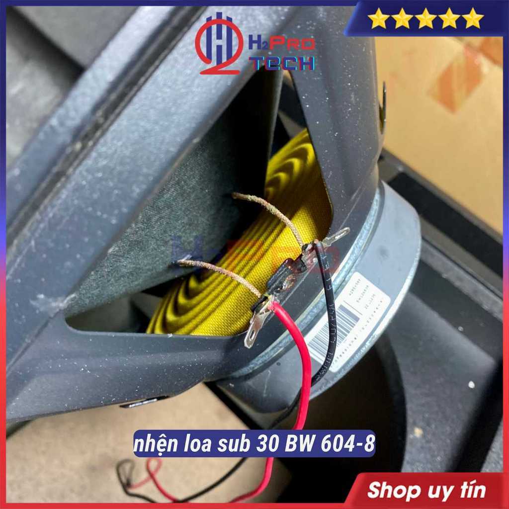 Loa Sub Điện Bass 30 BW 604-8 300W, Loa Trầm Bass 30 Sub Mặt Cao Cấp Đánh Căng Cho Gia Đình, Bộ Quà 90k-H2Pro Tech