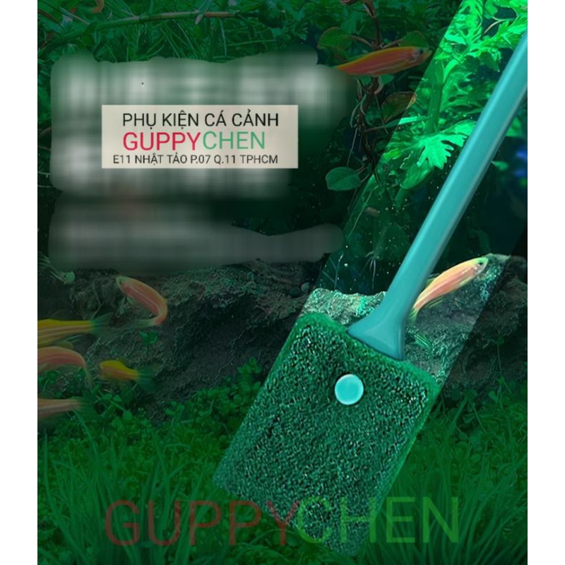 Cây vệ sinh hồ cá 2 mặt