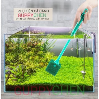 Cây vệ sinh hồ cá 2 mặt