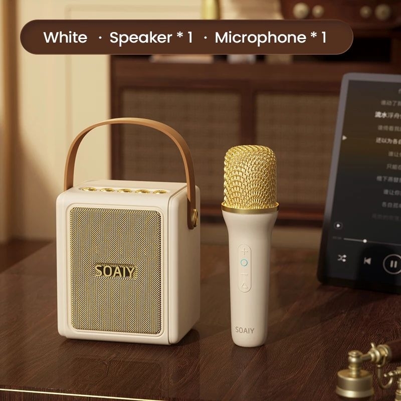 LOA KARAOKE MINI