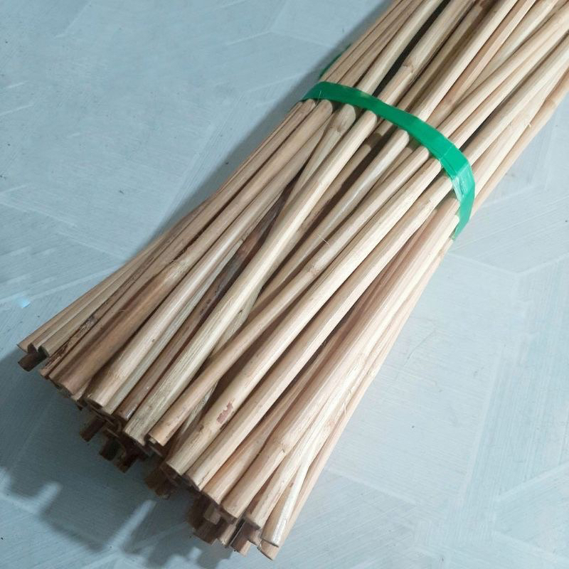 Combo 3 Cây Mây Thần Thánh