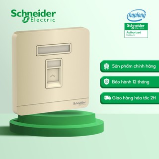 Bộ ổ cắm mạng cat6 đơn màu vàng ánh kim dòng AvatarON E8331RJS6_WG_G19 Schneider