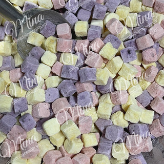 Sữa chua sấy giòn 100g