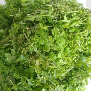 Đọt non kho qua rừng.ngọn non 1kg