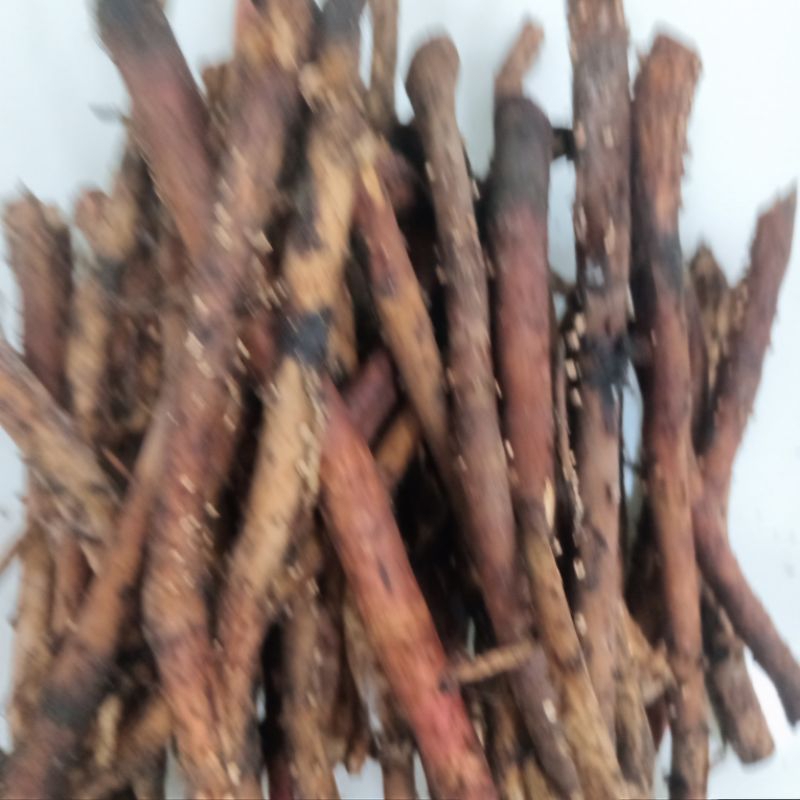 rễ dừa tươi dừa ta