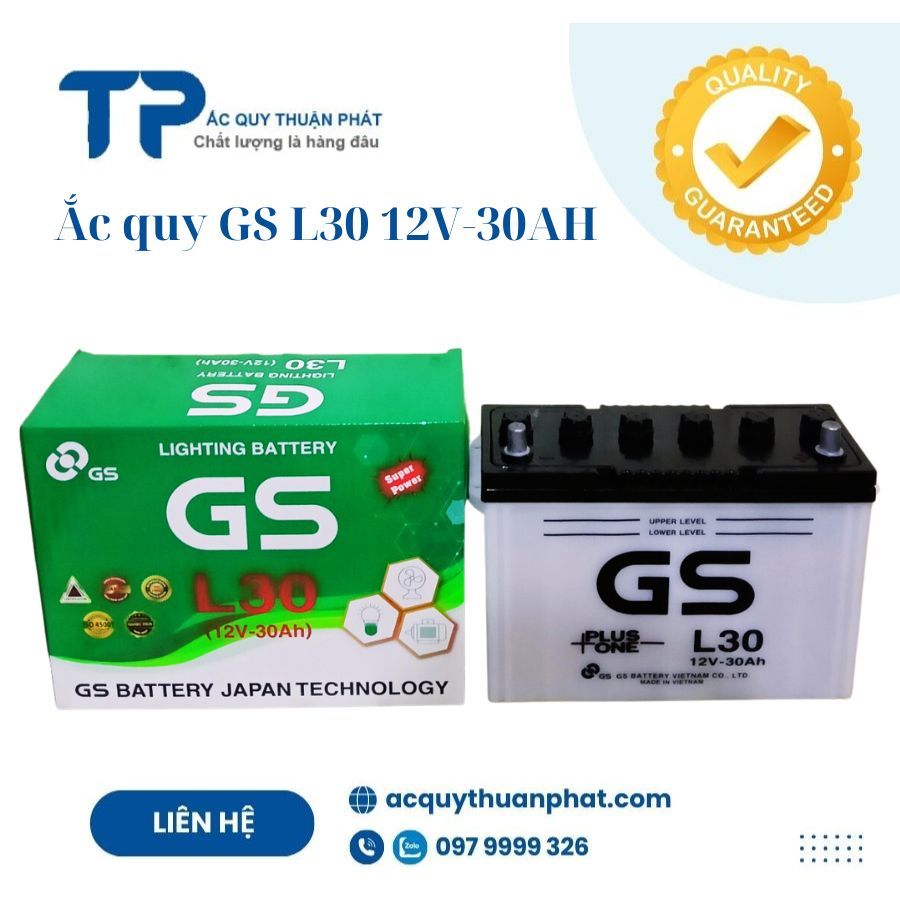 Ắc quy GS L30 12V-30AH